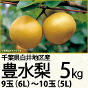 千葉県産白井地区産豊水梨5kg6L~5L9玉~10玉(220_梨25)