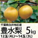 千葉県産白井地区産豊水梨5kg4L~3L12玉~14玉(220_梨25)
