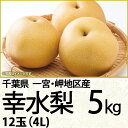千葉県産幸水梨5kg4L12玉(220_梨25)