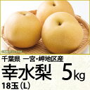 千葉県産幸水梨5kgL18玉(220_梨25)