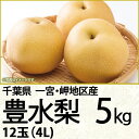 千葉県産豊水梨5kg4L12玉(220_梨25)