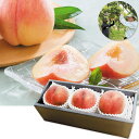 お中元 ギフト 山梨県産「甲斐の里グループ」のもも(大玉3玉入)(220_25夏)