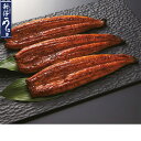 お中元 ギフト 鹿児島県産新仔うなぎ長焼(230_25夏)