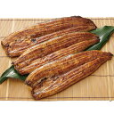 お中元 ギフト 浜名湖産うなぎ長焼(中)(230_25夏)