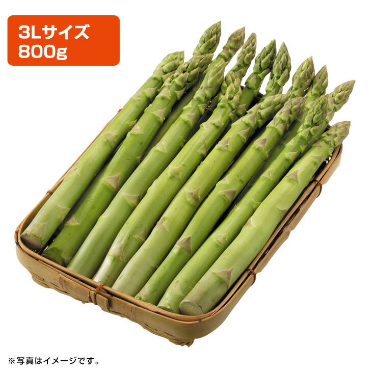 ギフト 産直 新鮮北海道産ハウスグリーンアスパラガス（旬26-220）