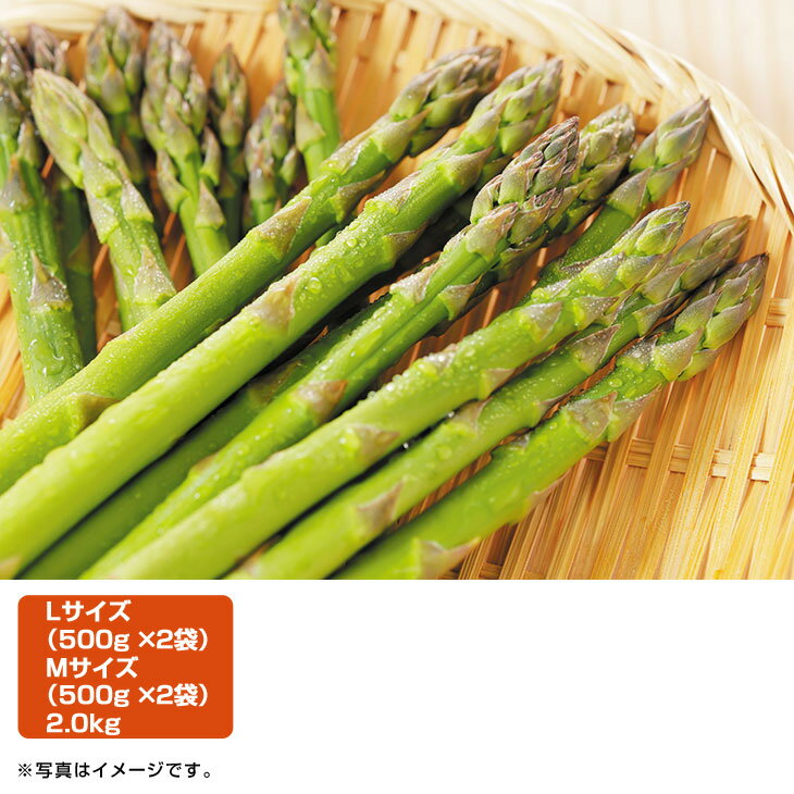 ギフト 産直 新鮮北海道産グリーンアスパラガス（徳用）（旬26-220）