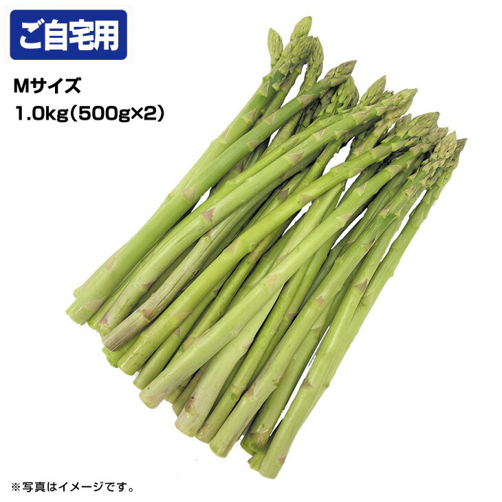 ギフト 産直 新鮮北海道産グリーンアスパラガス（ご自宅用）（旬26-220）