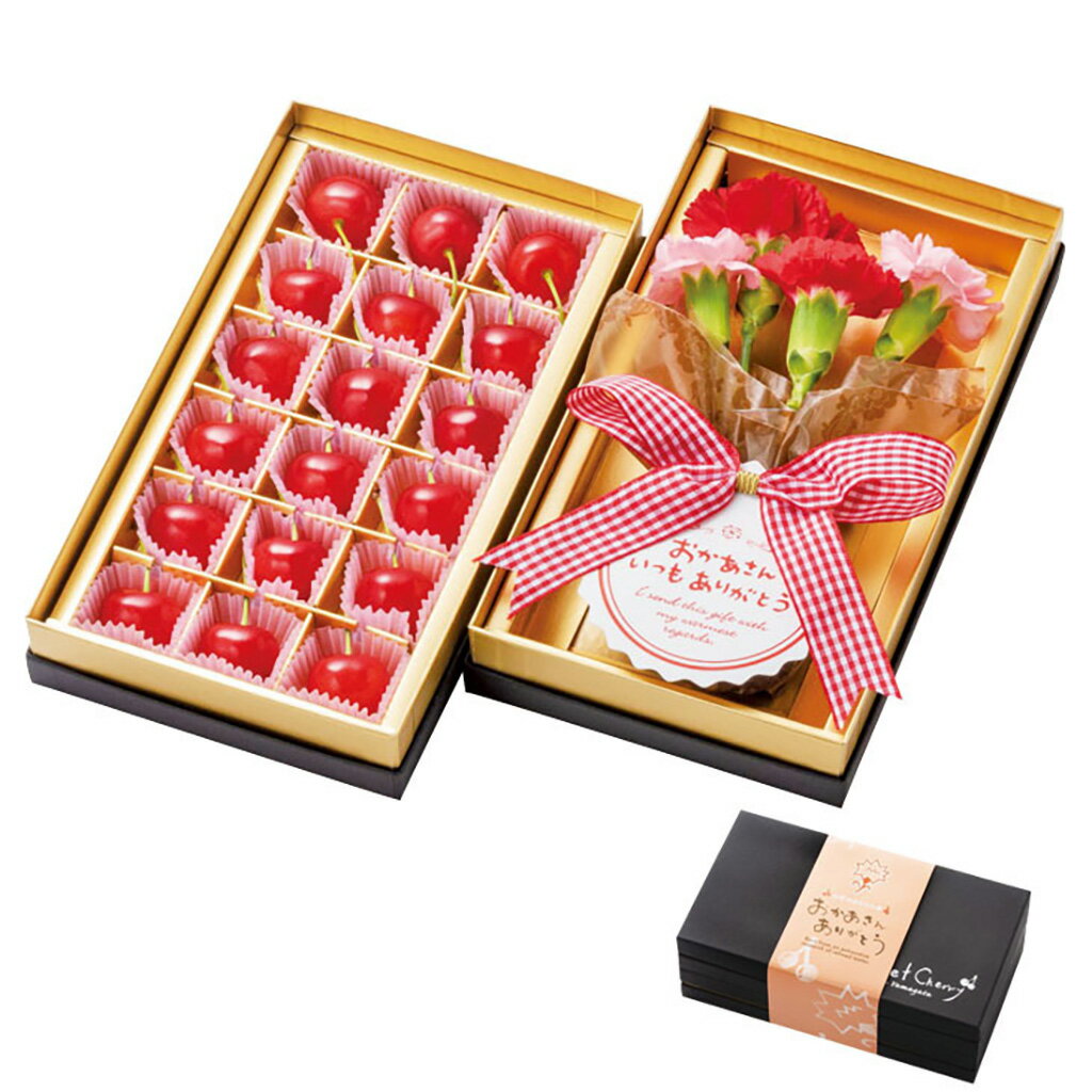 母の日山形県産ハウスさくらんぼ＆カーネーションのセット（母26-220）