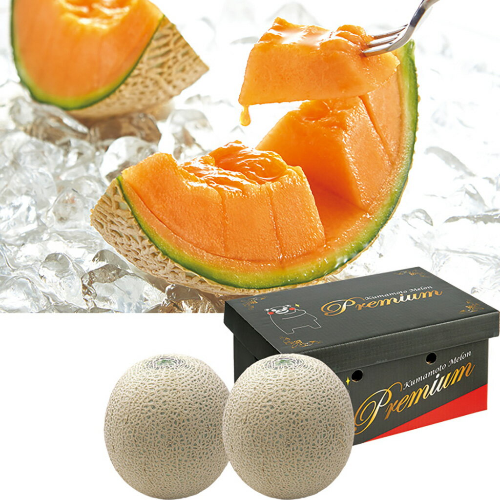 母の日熊本県産赤肉メロン2玉（母26-220）