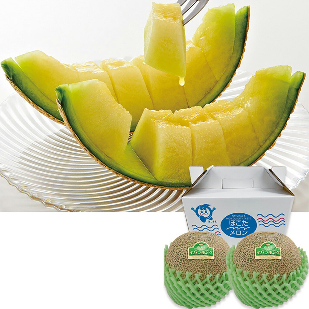 母の日茨城県産イバラキングメロン2玉（母26-220）