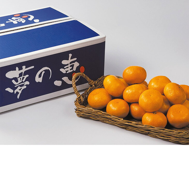 お歳暮　御歳暮　熊本県産夢未来みかん『夢の恵』2026　送料無料　冬　贈答用　詰め合わせ　お取り寄せ　歳暮ギフト　人気　高級　上司　友人　親戚　家族　両親　同僚　内祝い　お祝い　御祝　お礼