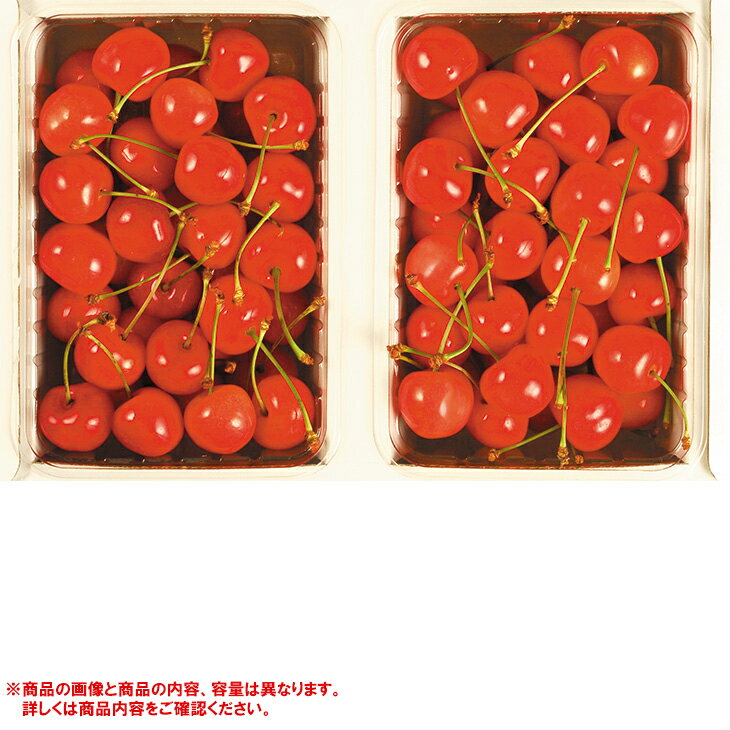 お中元　ギフト　北海