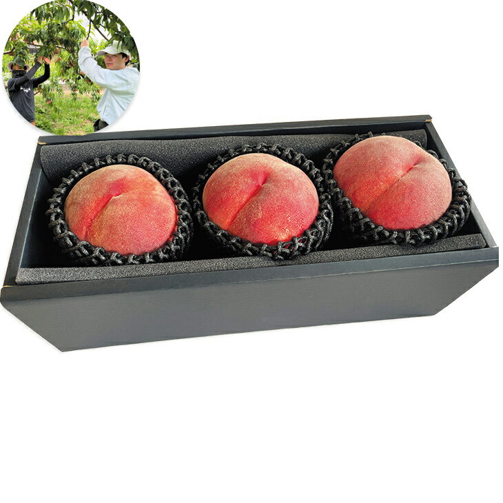 Peach - お中元　ギフト　山梨県産「甲斐の里グループ」のもも（大玉3玉入） 2026　送料無料　夏　贈答用　詰め合わせ　お取り寄せ　中元ギフト　人気　高級　上司　友人　親戚　家族　両親　同僚　内祝い　お祝い　御祝　お礼
