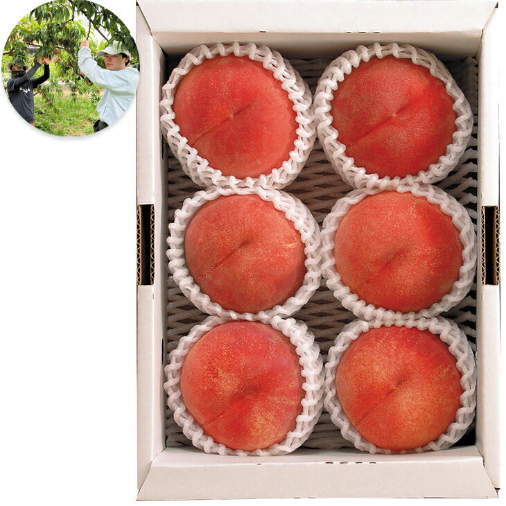 Peach - お中元　ギフト　山梨県産「甲斐の里グループ」のもも（白桃系） 2026　送料無料　夏　贈答用　詰め合わせ　お取り寄せ　中元ギフト　人気　高級　上司　友人　親戚　家族　両親　同僚　内祝い　お祝い　御祝　お礼