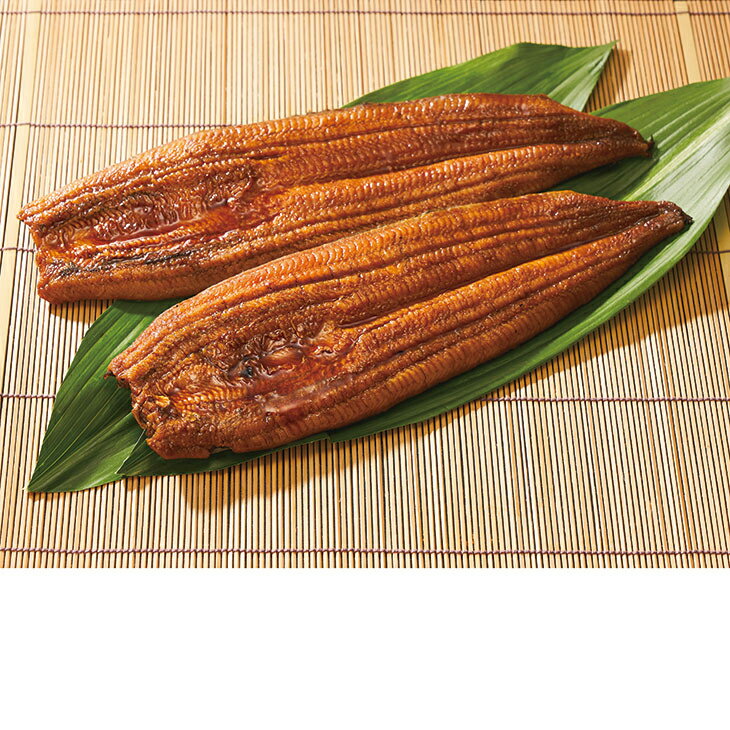 Rakuten - ポイント10倍＜6/4 20：00〜6/11 0：59＞お中元　ギフト　愛知三河産うなぎ長焼き2尾 2026　送料無料　夏　贈答用　詰め合わせ　お取り寄せ　中元ギフト　人気　高級　上司　友人　親戚