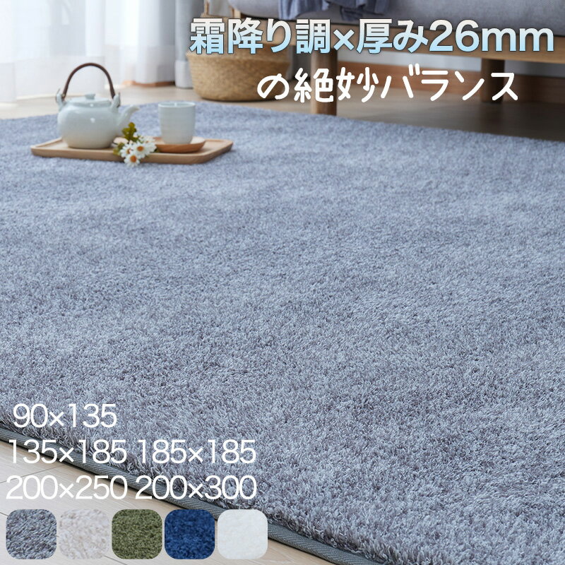 【P10倍】 ラグ シャギーラグ ラグマット カーペット 約1畳 1.5畳 2畳 3畳 4畳 ウレタン入り 滑り止め付き ラグカーペット 遮音 厚手 抗菌防臭 おしゃれ 北欧 長方形 洗える オールシーズン 大きめ 小さめ 絨毯 90×135 135×185 185×185 200×250 200×300