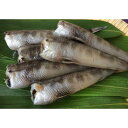 目光の縄文干し