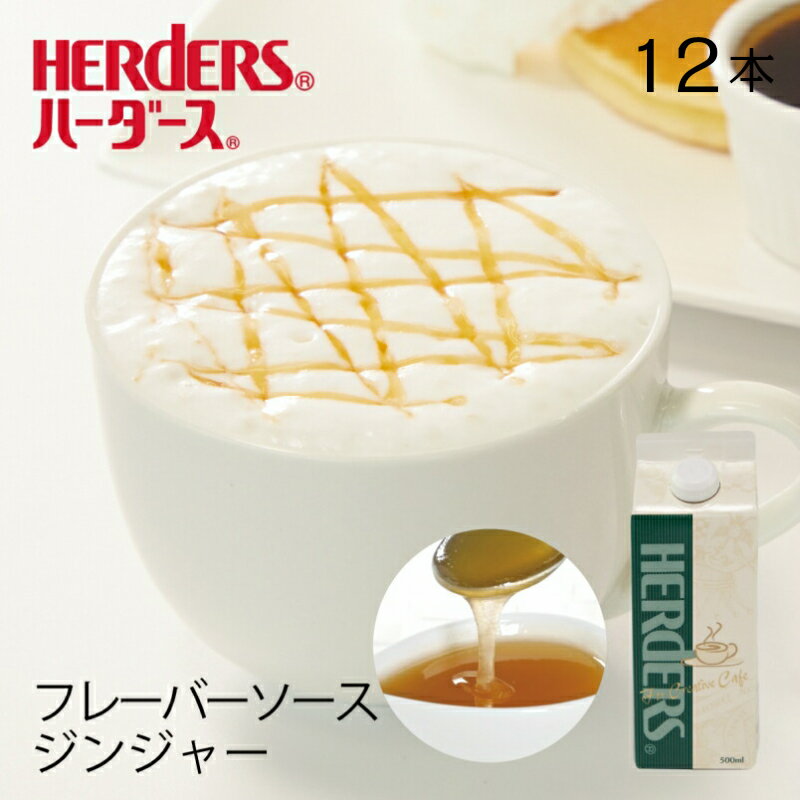 楽天丸源のこだわり飲料ハーダース カフェ用フレーバーソースジンジャー【業務用　500ml×12本入】生姜 しょうが ジンジャーエール ジンジャーシロップ ジンジャーソース 生姜焼き 業務用 かき氷シロップ 割材 珈琲シロップ フレーバーコーヒー トッピング 製菓材料 パンケーキ ドリンク