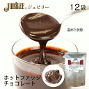 ジュビリーホットファッジチョコレートトッピング【業務用　500g×12袋入】ケーキ おやつ トッピング ソース 果物 デザート スイーツ チョコレートソース