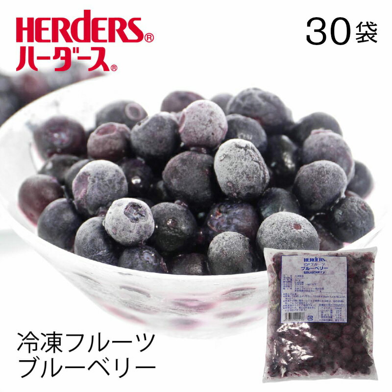 ＜冷凍フルーツ＞ハーダース IQFフルーツブルーベリー 【業務用　300g×30袋入】本州は送料無料でこの価格！冷凍 冷凍…