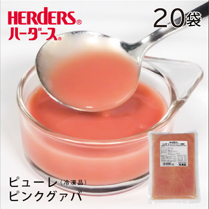 【ふるさと納税】先行受付 2024年9月から順次出荷 北海道仁木町産 プルーン 1kg ( サンプルーン ) 厳選品 松山商店　【 果物 フルーツ 国産 高糖度 ほどよい酸味 北海道産プルーン 国産プルーン 】　お届け：2024年9月下旬～10月中旬