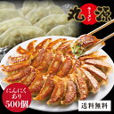 餃子 ぎょうざ お取り寄せ 丸源餃子 500個 冷凍餃子 生餃子 ギフト 送料無料 パーティ 大容量