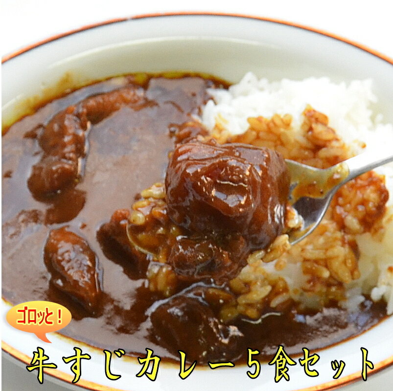 ゴロッと！入ったコラーゲン牛すじカレー5食セット