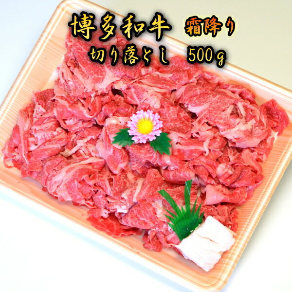 博多和牛A5〜A4 切り落とし500g　【化粧箱入】