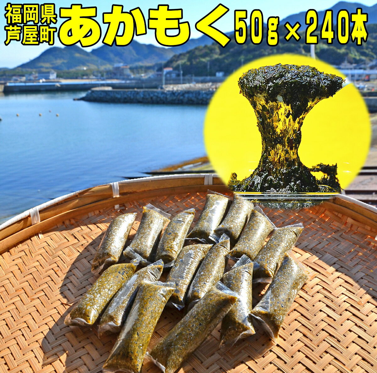 業務用 九州産 あかもく 合計12キロ！（50g×240本） 送料無料 無添加 無調味 無地パッケージ 福岡県芦屋町産アカモク…