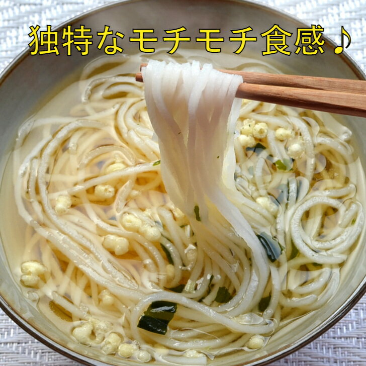 マルゴめん 米粉麺 プレーン 10食セット つるつるモチモチ食感 九州 福岡県 中間市...