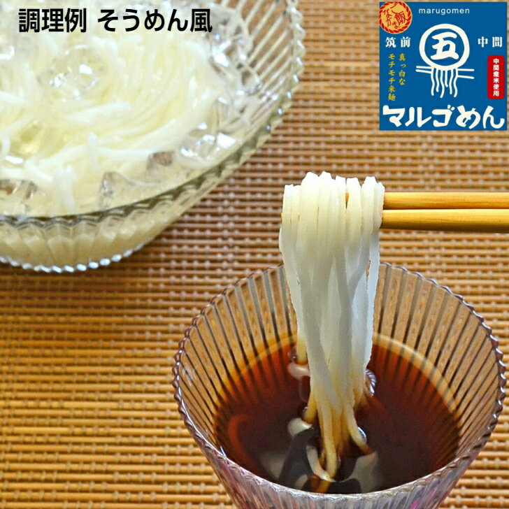 マルゴめん 米粉麺 プレーン 10食セット つるつるモチモチ食感 九州 福岡県 中間市...
