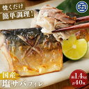 国内産塩サバフィレ ハーフカット20枚入り 2袋さば 鯖 サバ 魚 おかず 国内産 国産 日本海側漁獲 魚介 切り身 塩サバ 塩鯖 フィレ フィーレ 焼き鯖 焼...
