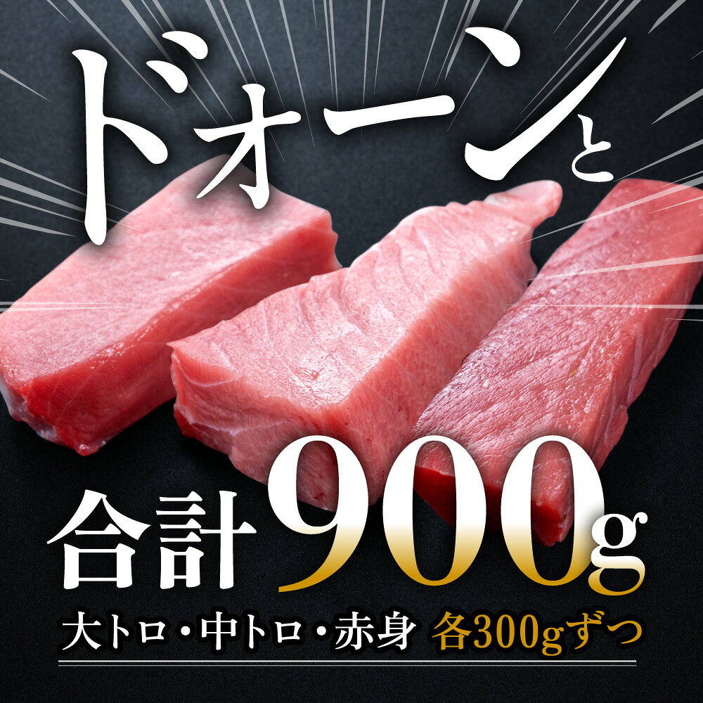 海鮮『 絶品！ 国産 生 本マグロ 堪能セット 』 大トロ 300g + 中トロ 300g + 赤身...