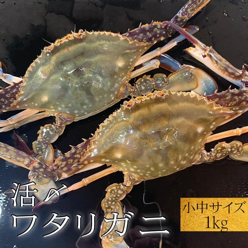 活〆 ワタリガニ オスメス 【1kg 5〜8杯】　小中サイズ混合 氷締め 地物 天然　渡り蟹　ガザミ お取り寄せ 　伊勢湾 三河湾 ＼オリジナル三杯酢付き／[ 活〆を冷凍してお届け]