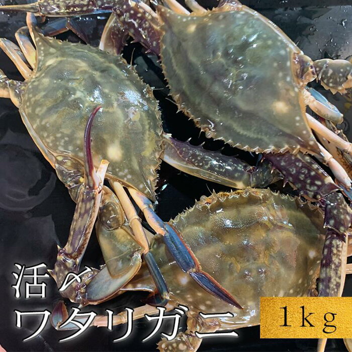 活〆 ワタリガニ オス 【1kg 3〜5杯】 氷締め 地物 天然　渡り蟹　ガザミ お取り寄せ 　伊勢湾 三河湾 ＼オリジナル三杯酢付き／[活〆を冷凍してお届け]