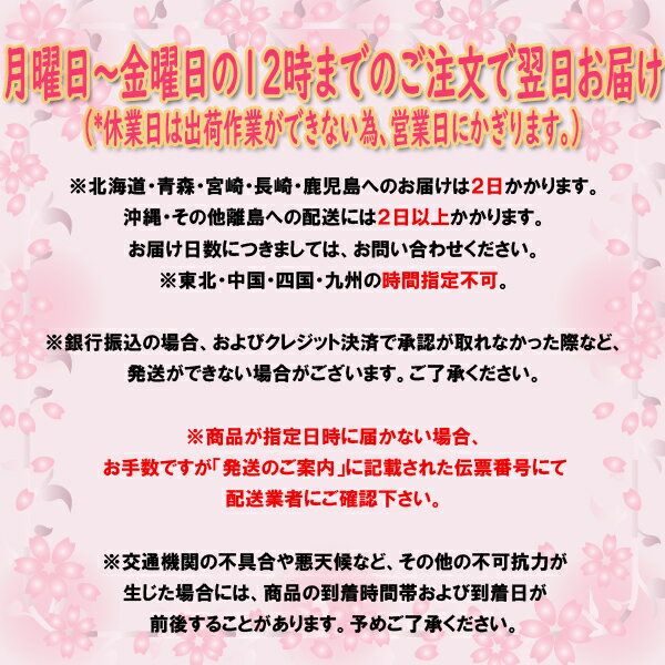 おまかせ季節のお花のフラワーバスケット【送料無料】鉢植え 花 ギフト 夏 寄せ鉢 開業祝/開店祝/移転祝い/お誕生日/各種ギフト/お供えに