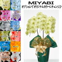 カラー胡蝶蘭 MIYABI 3本立ち24輪以上つぼみ込み【送料無料】花 ギフト お歳暮 開業祝 開店祝 移転祝い お誕生日 各種ギフト お供えに