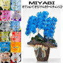 カラー胡蝶蘭 MIYABI 3本立ち27輪以上つぼみ込み【送料無料】胡蝶蘭 ブルー 花 ギフト 盆/新盆/お中元/ 開業祝 開店祝 移転祝い お誕生日 各種ギフ...