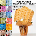 カラー胡蝶蘭 MIYABI 3本立ち33輪以上つぼみ込み【送料無料】花 ギフト お歳暮 開業祝 開店祝 移転祝い お誕生日 各種ギフト お供えに