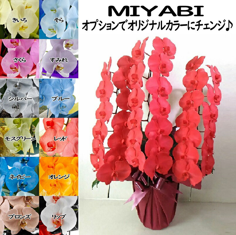 カラー胡蝶蘭 MIYABI 3本立ち39輪以上つぼみ込み【送料無料】花 ギフト お歳暮 開業祝 開店祝 移転祝い..