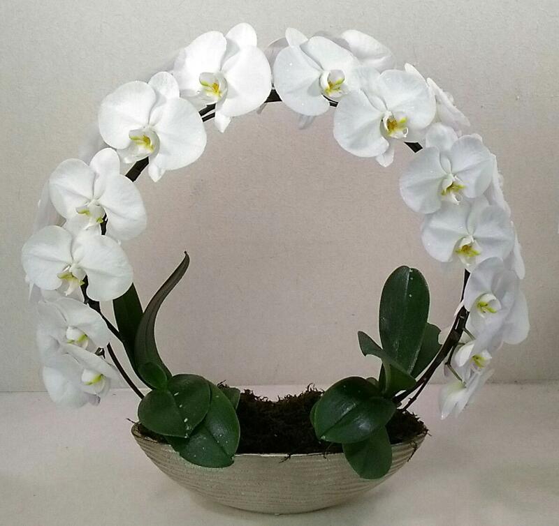 ͷ꡼󥰸ĳء̵۲֥եȳȽ˳Ź˰žˤƼ葉եȤ