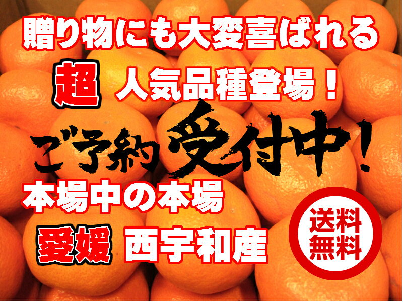 【送料無料】愛媛 みかん 西宇和産 Mサイズ 10kg 【愛媛みかん】【ご贈答用】【果物　ご贈答】【予約販売】【温州みかん】【高糖度】