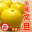 【送料無料】【お試し】土佐 文旦 サイズ L 3kg 約8玉 【高知産】【家庭用】【ぶんたん】 - マルハチ