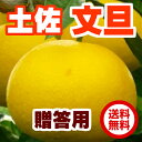【送料無料】【光センサー選別】土佐文旦 秀品 4L 10kg 約16玉【高知産】【贈答用】【ぶんたん】 - マルハチ