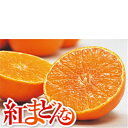 紅まどんな【化粧箱入】【等級 赤秀】 L 約1.5kg (7～8玉) 【ご贈答用】【送料無料】【JAえひめ中央農協】【北海道・沖縄県は発送不可】