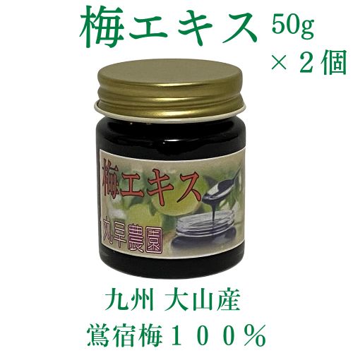 梅エキス 50g 2個【梅農家自家製】鴬宿梅 大分県日田市大山産 【 無添加 免疫力アップ 胃腸を整える ムメフラール 効果 】