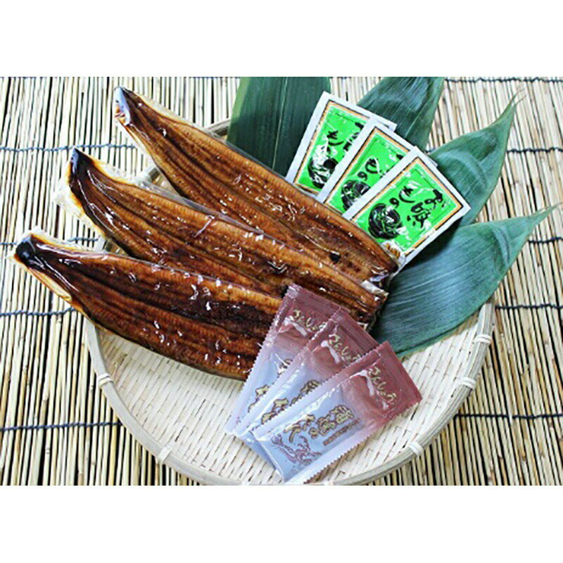 浜名湖 うなぎ蒲焼き 3枚入り【産直 ギフト 冷凍便】/タレ 山椒付き 鰻 帰歳暮 贈り物 プレゼント お礼 入学祝い 進学祝い 入学内祝い 進学内祝い お返し