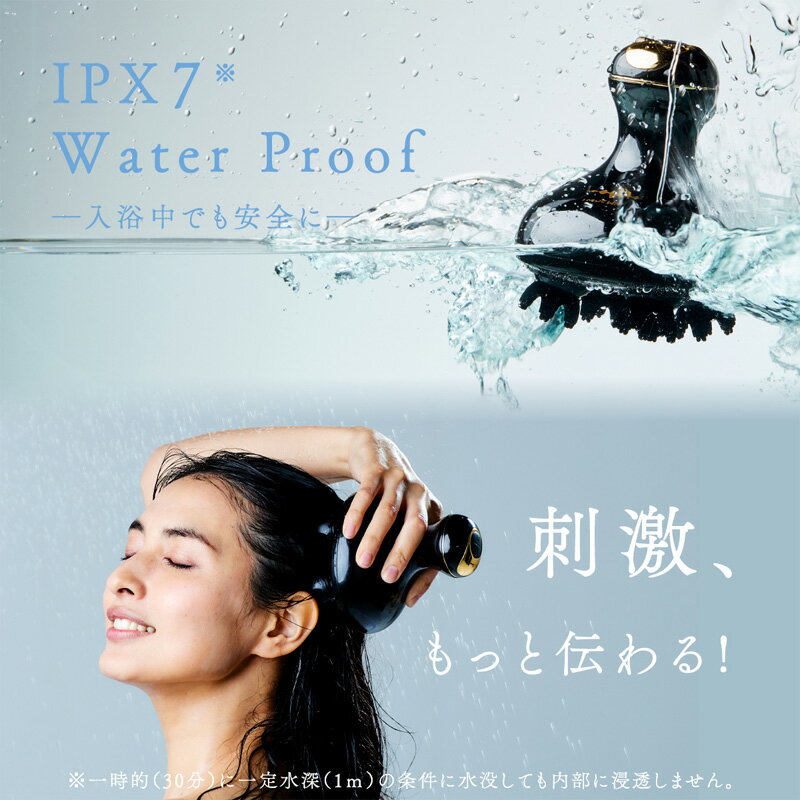 【6/4日20時～エントリーでP10倍】WAVEWAVE WAVE EMS Scalp Head SPA EMSスカルプヘッドスパ /美容家電 防水 EMS 3