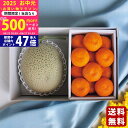 【マラソン限定クーポン配布中!】赤肉メロン&ハウスみかん《2025年 お中元専用商品 7/12~8/12お届け予定(日時指定不可) 直送便》