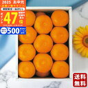 【マラソン限定クーポン配布中!】佐賀県産 JAグループ佐賀 温室みかん(1.5kg)《2025年 お中元専用商品 7/3〜8/12お届け予定(日時指定不可) 直...